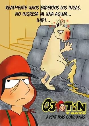 Libro: OJOTIN Y GOYO AVENTURAS COTIDIANAS - Museo Librería Génesis Perú